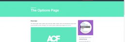 プラグイン　ACF-Options Page